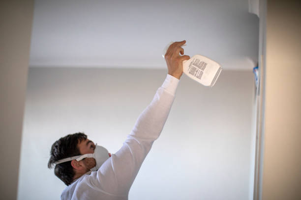 Best Commercial Mold Remediation in Detroit Lakes, MN